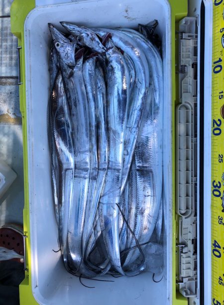 フィッシング キッタカ 釣果