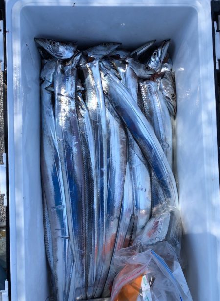 フィッシング キッタカ 釣果