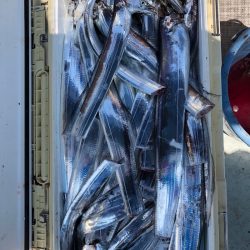 フィッシング　キッタカ 釣果