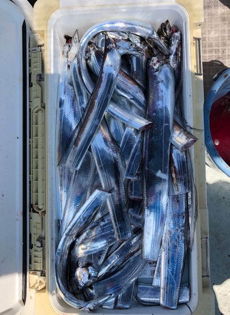 フィッシング　キッタカ 釣果