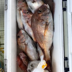 フィッシング　キッタカ 釣果