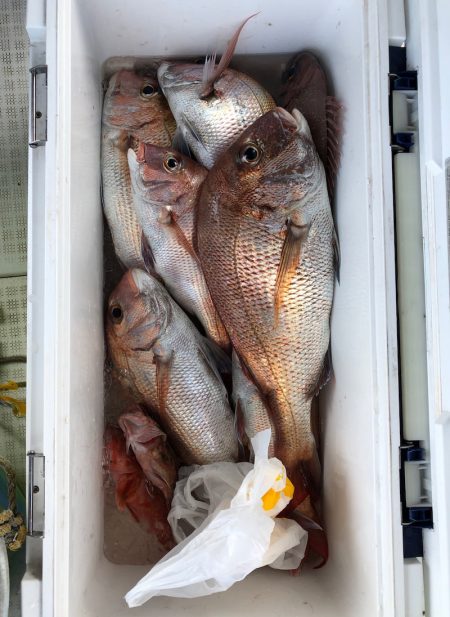 フィッシング　キッタカ 釣果