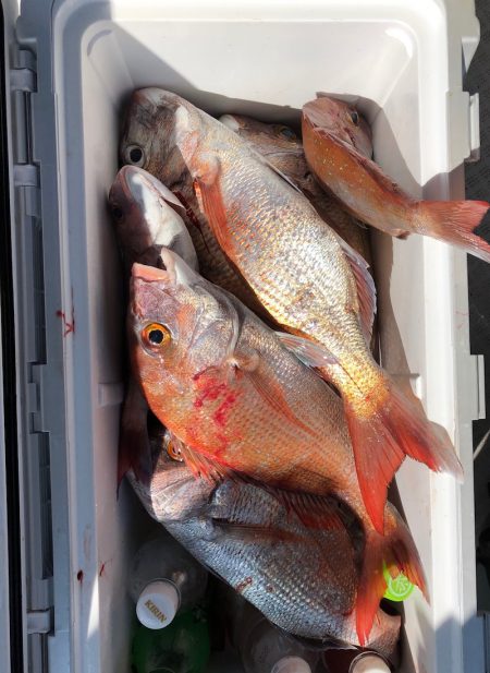 フィッシング キッタカ 釣果