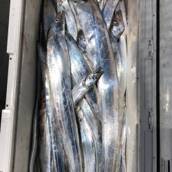 フィッシング キッタカ 釣果