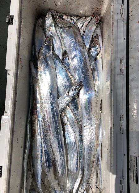 フィッシング キッタカ 釣果