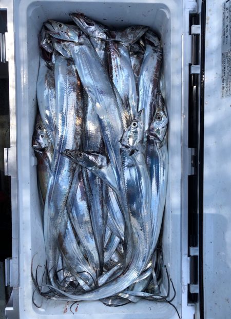 フィッシング キッタカ 釣果