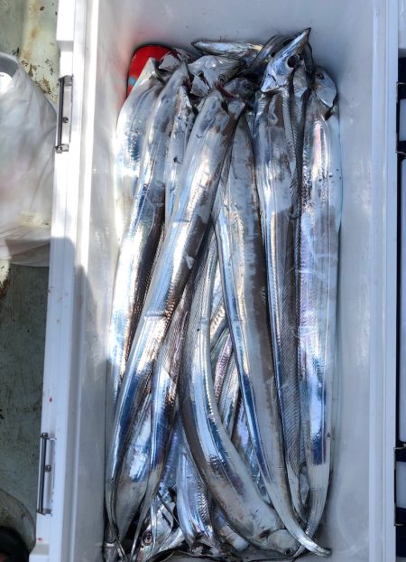 フィッシング キッタカ 釣果