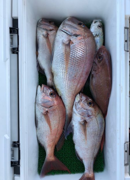 フィッシング キッタカ 釣果