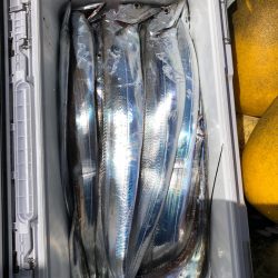 フィッシング キッタカ 釣果