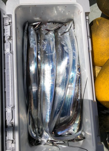 フィッシング キッタカ 釣果