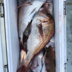 フィッシング キッタカ 釣果