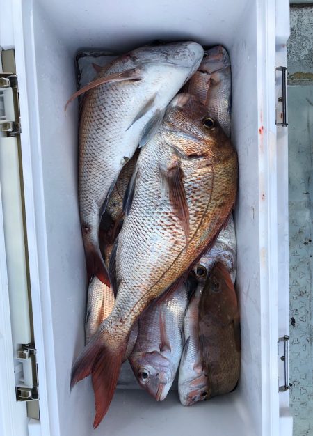 フィッシング キッタカ 釣果