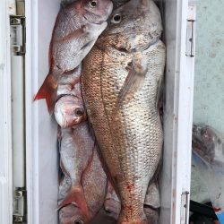 フィッシング キッタカ 釣果