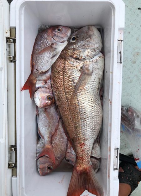 フィッシング キッタカ 釣果