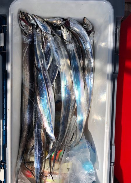 フィッシング　キッタカ 釣果