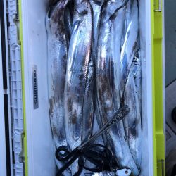 フィッシング キッタカ 釣果