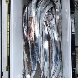 フィッシング キッタカ 釣果