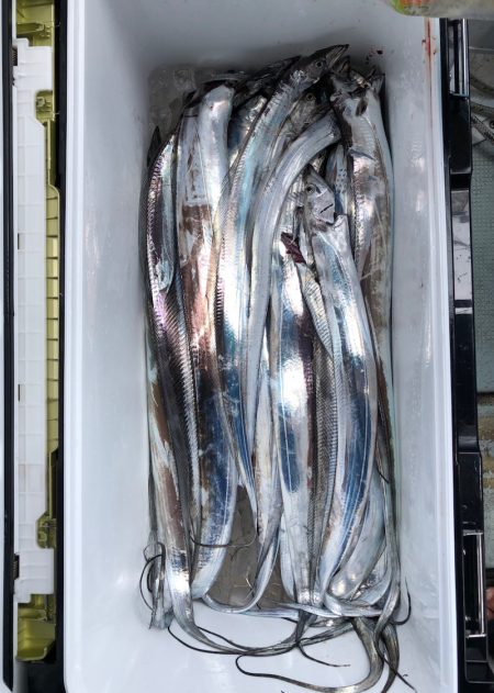 フィッシング キッタカ 釣果