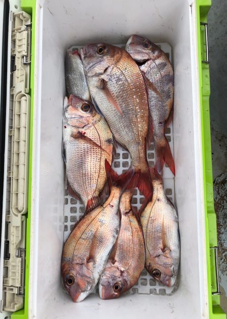 フィッシング キッタカ 釣果