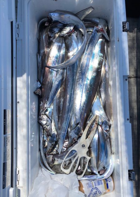 フィッシング キッタカ 釣果