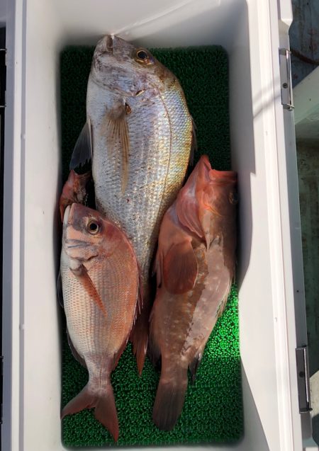 フィッシング キッタカ 釣果