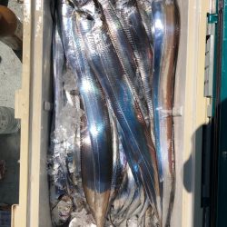 フィッシング　キッタカ 釣果