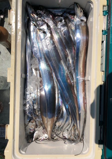 フィッシング　キッタカ 釣果