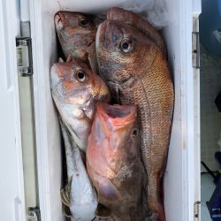 フィッシング　キッタカ 釣果