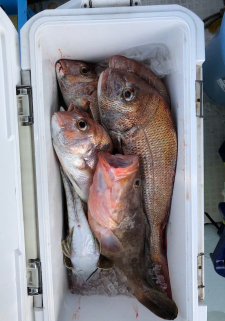 フィッシング　キッタカ 釣果