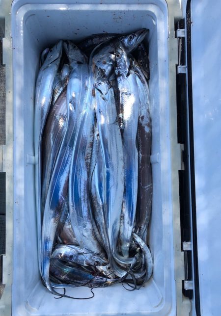 フィッシング キッタカ 釣果