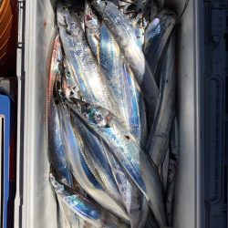 フィッシング キッタカ 釣果