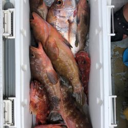 フィッシング　キッタカ 釣果