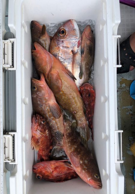 フィッシング　キッタカ 釣果