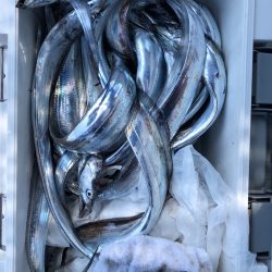 フィッシング　キッタカ 釣果