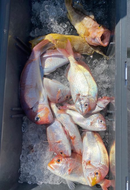 あみや渡船 JIGBOY 釣果