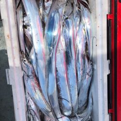 フィッシング キッタカ 釣果