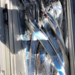 フィッシング キッタカ 釣果