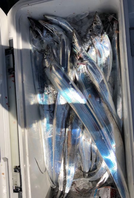 フィッシング キッタカ 釣果