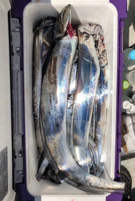 フィッシング　キッタカ 釣果