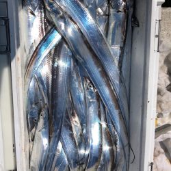 フィッシング　キッタカ 釣果