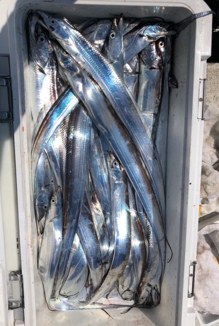 フィッシング　キッタカ 釣果