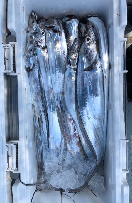 フィッシング　キッタカ 釣果