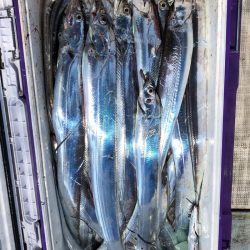 フィッシング キッタカ 釣果