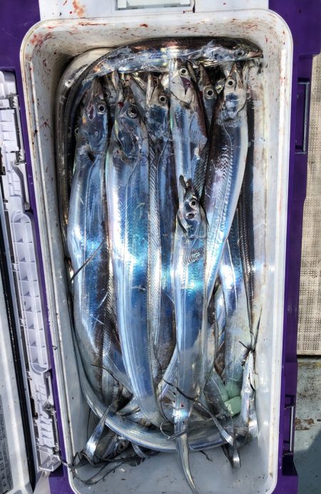 フィッシング　キッタカ 釣果