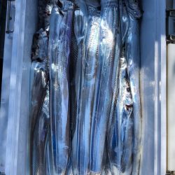 フィッシング キッタカ 釣果