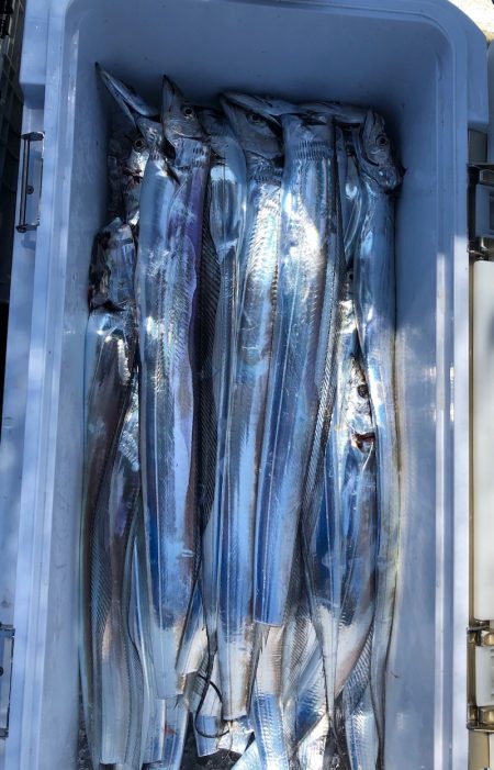 フィッシング キッタカ 釣果