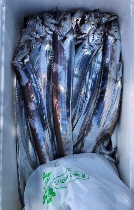 フィッシング キッタカ 釣果