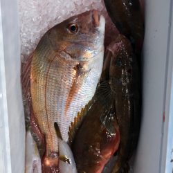 フィッシング　キッタカ 釣果