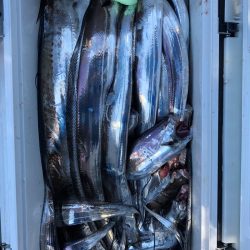 フィッシング キッタカ 釣果