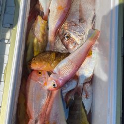 あみや渡船 JIGBOY 釣果